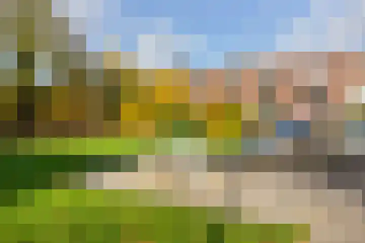 Prof. Zonnebloemlaan 17 Utrecht thumbnail 42