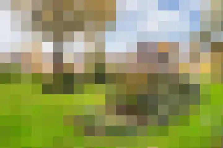 Prof. Zonnebloemlaan 17 Utrecht thumbnail 43
