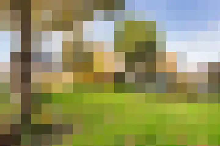 Prof. Zonnebloemlaan 17 Utrecht thumbnail 44
