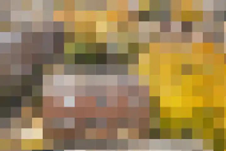 Prof. Zonnebloemlaan 17 Utrecht thumbnail 45