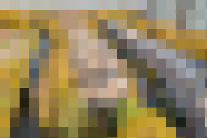 Prof. Zonnebloemlaan 17 Utrecht thumbnail 48