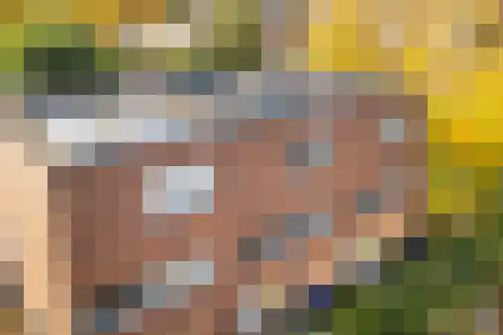 Prof. Zonnebloemlaan 17 Utrecht thumbnail 6