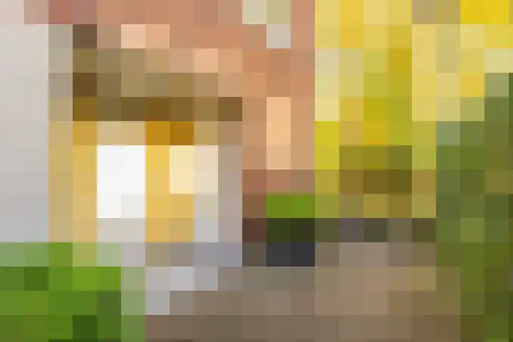 Prof. Zonnebloemlaan 17 Utrecht thumbnail 7