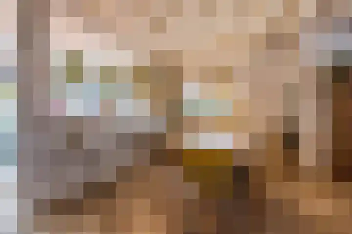Professor Asserlaan 19 Voorschoten thumbnail 11