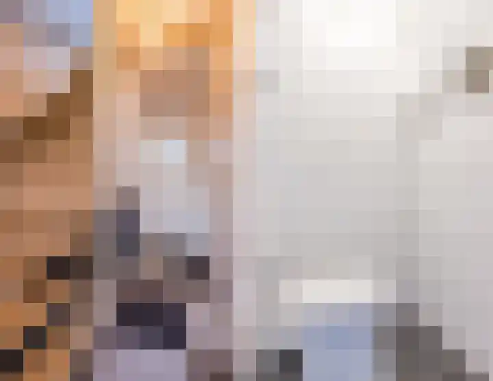 Professor Asserlaan 19 Voorschoten thumbnail 17