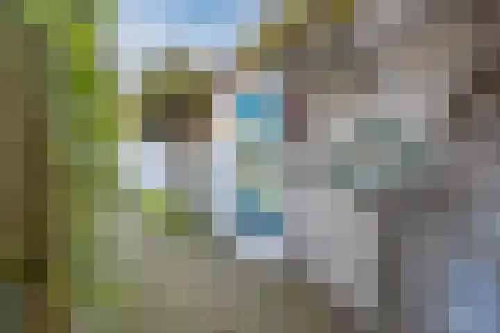 Professor Asserlaan 19 Voorschoten thumbnail 36