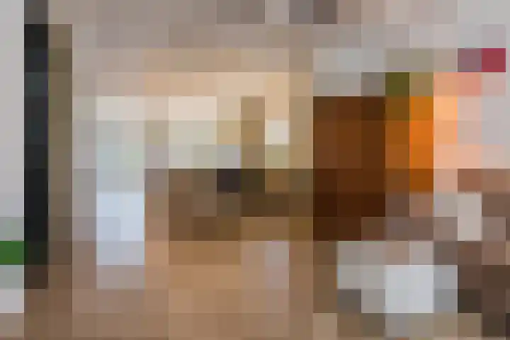 Professor Asserlaan 19 Voorschoten thumbnail 8