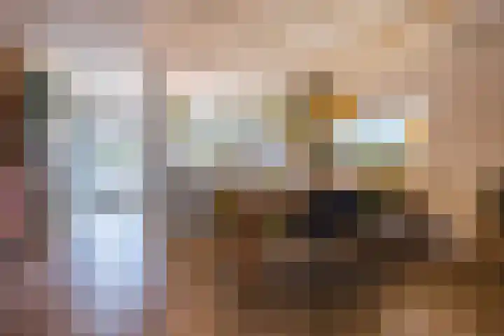 Professor Asserlaan 19 Voorschoten thumbnail 9