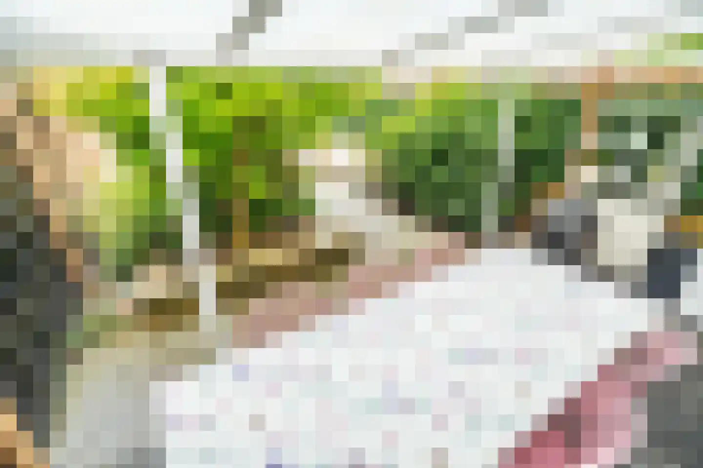 Professor Asserlaan 23 Voorschoten thumbnail 11