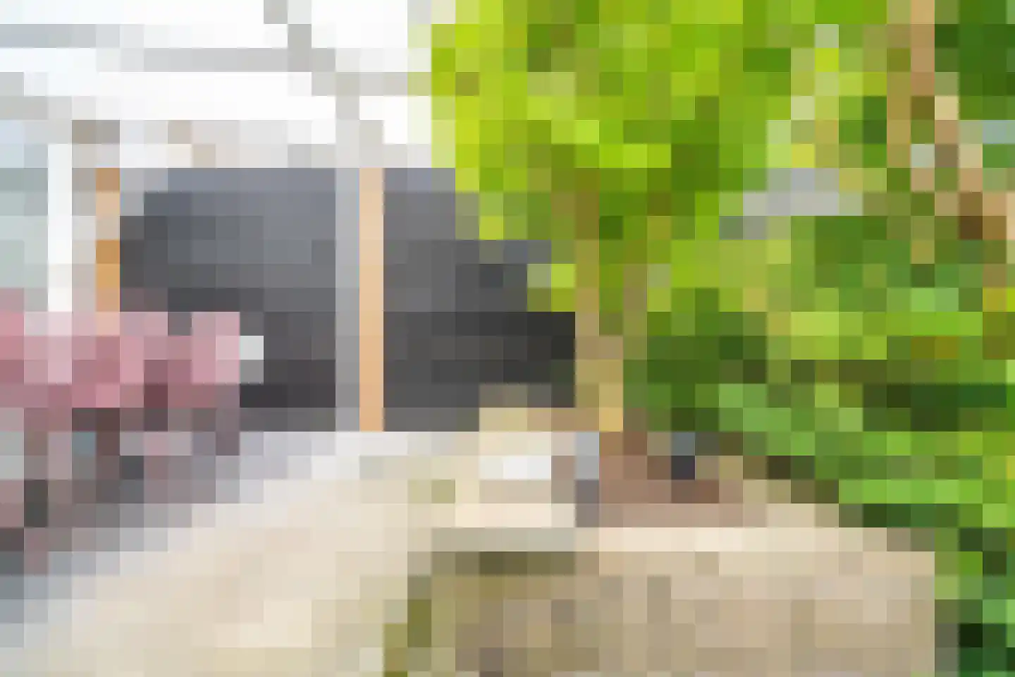 Professor Asserlaan 23 Voorschoten thumbnail 12