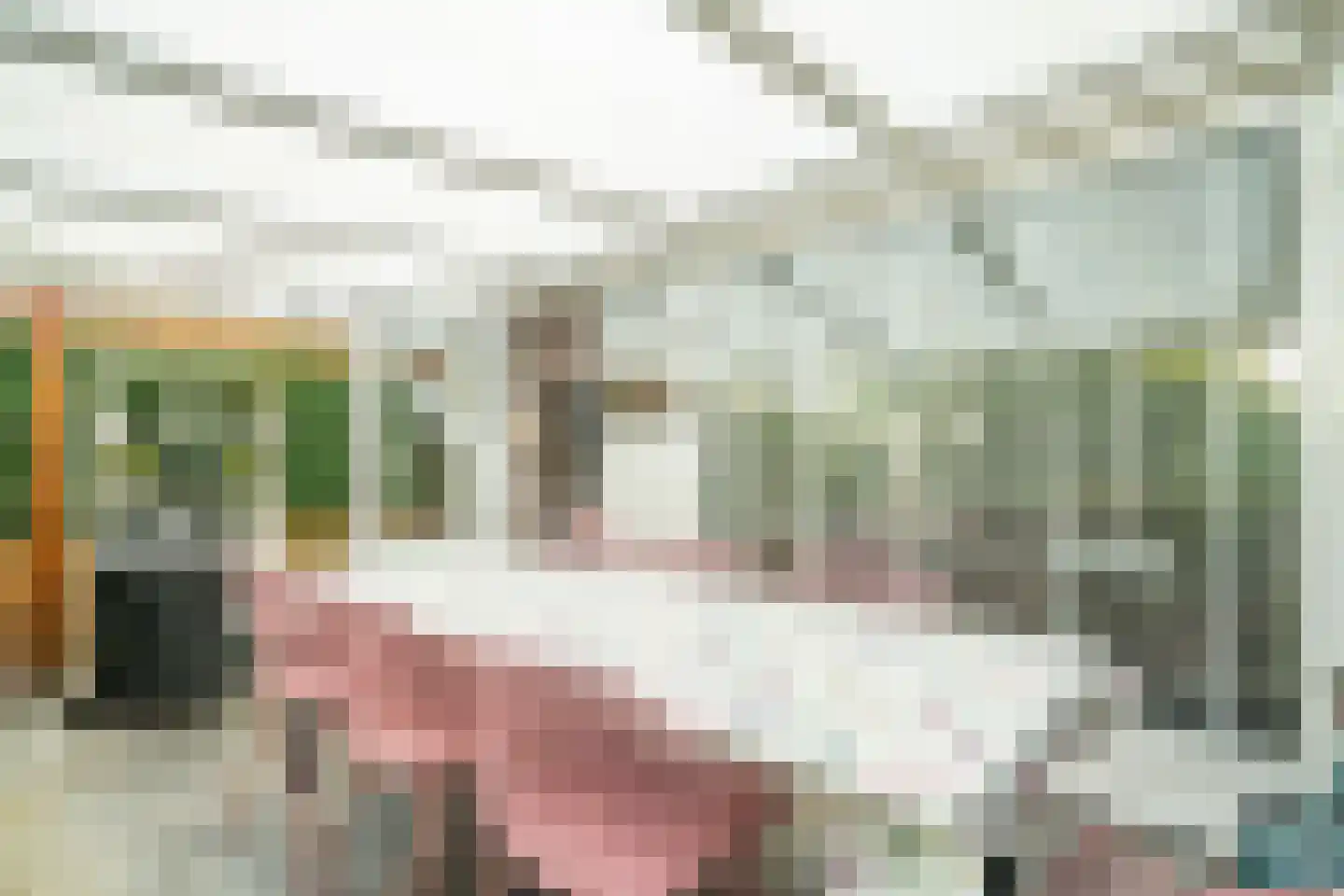 Professor Asserlaan 23 Voorschoten thumbnail 16