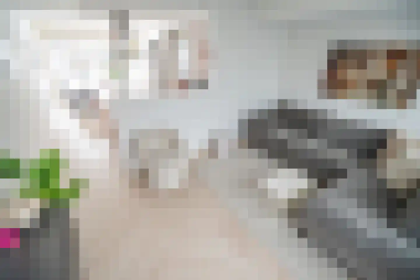 Professor Asserlaan 23 Voorschoten thumbnail 19