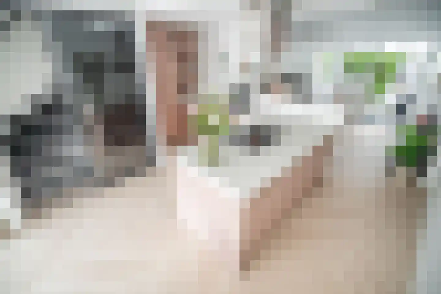 Professor Asserlaan 23 Voorschoten thumbnail 31