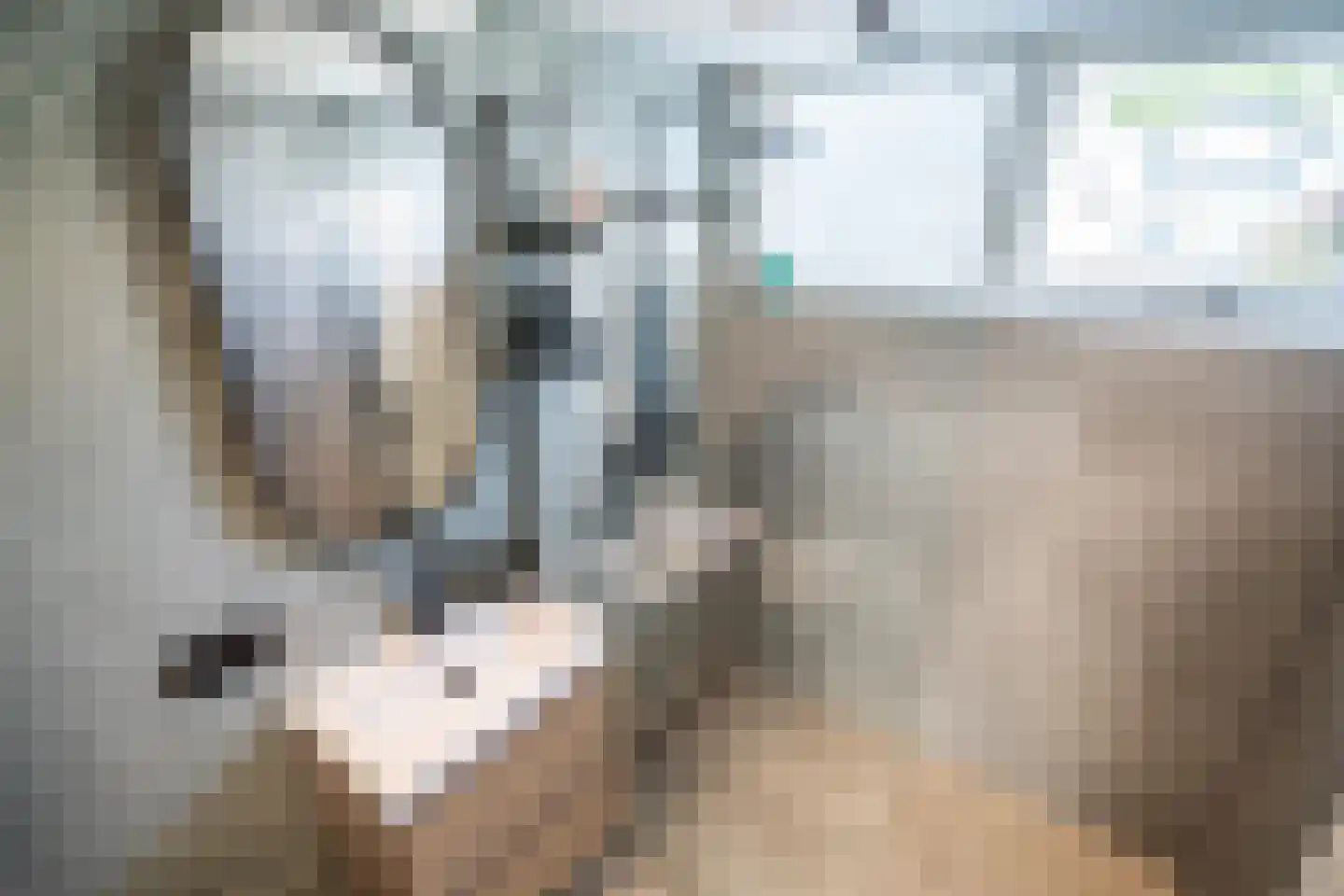 Professor Asserlaan 23 Voorschoten thumbnail 41