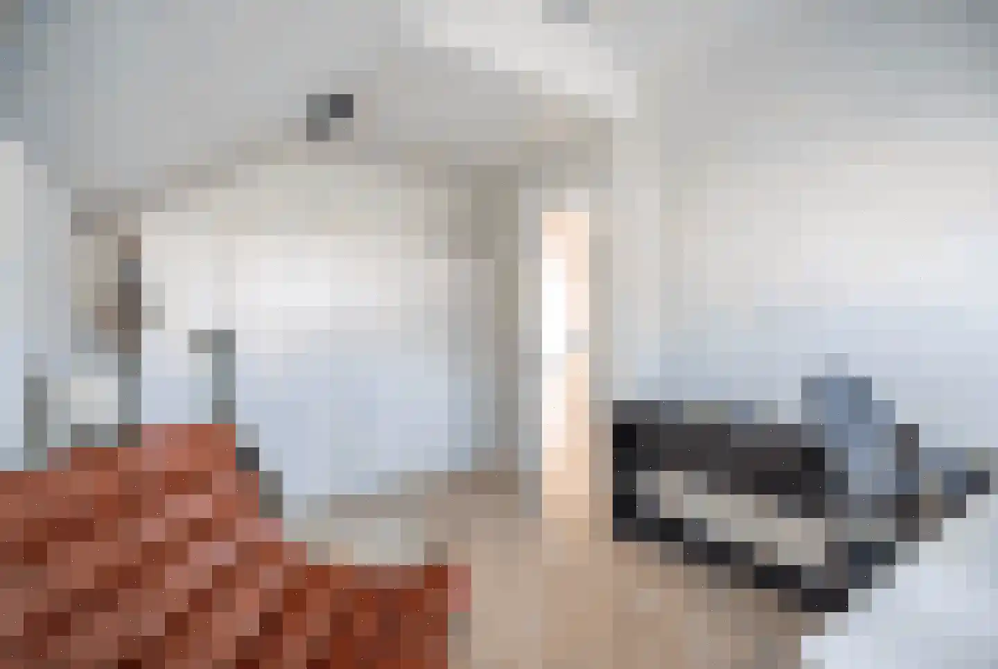 Professor Asserlaan 23 Voorschoten thumbnail 48