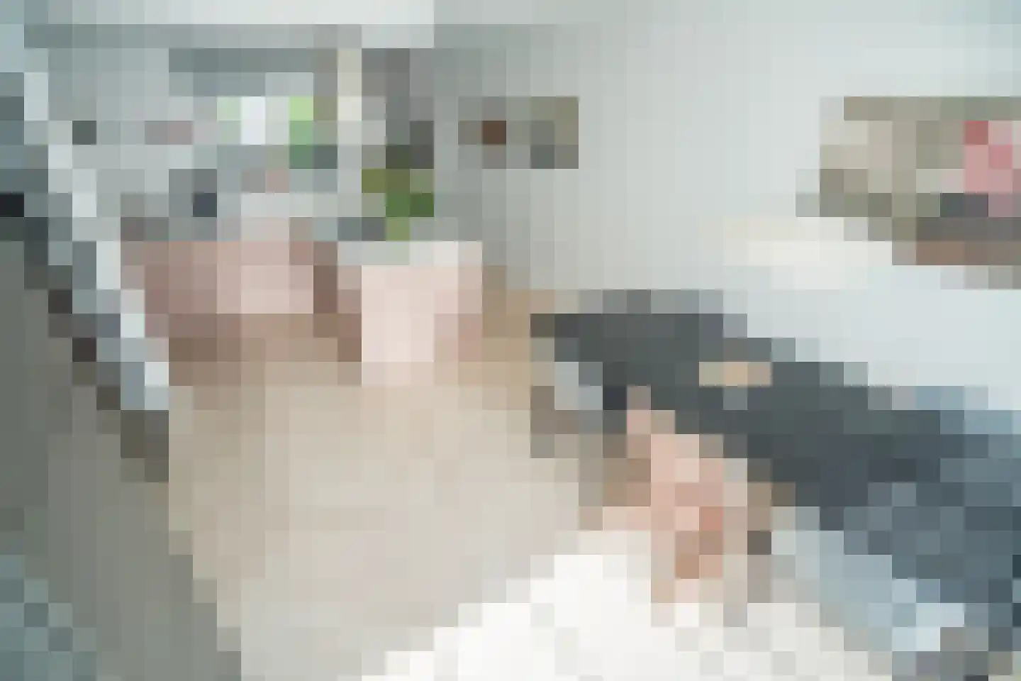 Professor Asserlaan 23 Voorschoten thumbnail 5