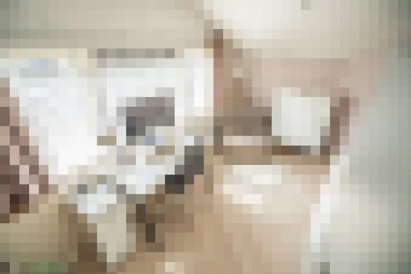 Professor Asserlaan 23 Voorschoten thumbnail 53