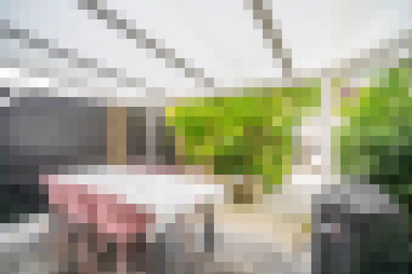Professor Asserlaan 23 Voorschoten thumbnail 9