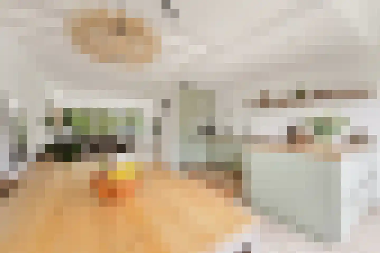 Professor Asserlaan 31 Voorschoten thumbnail 10