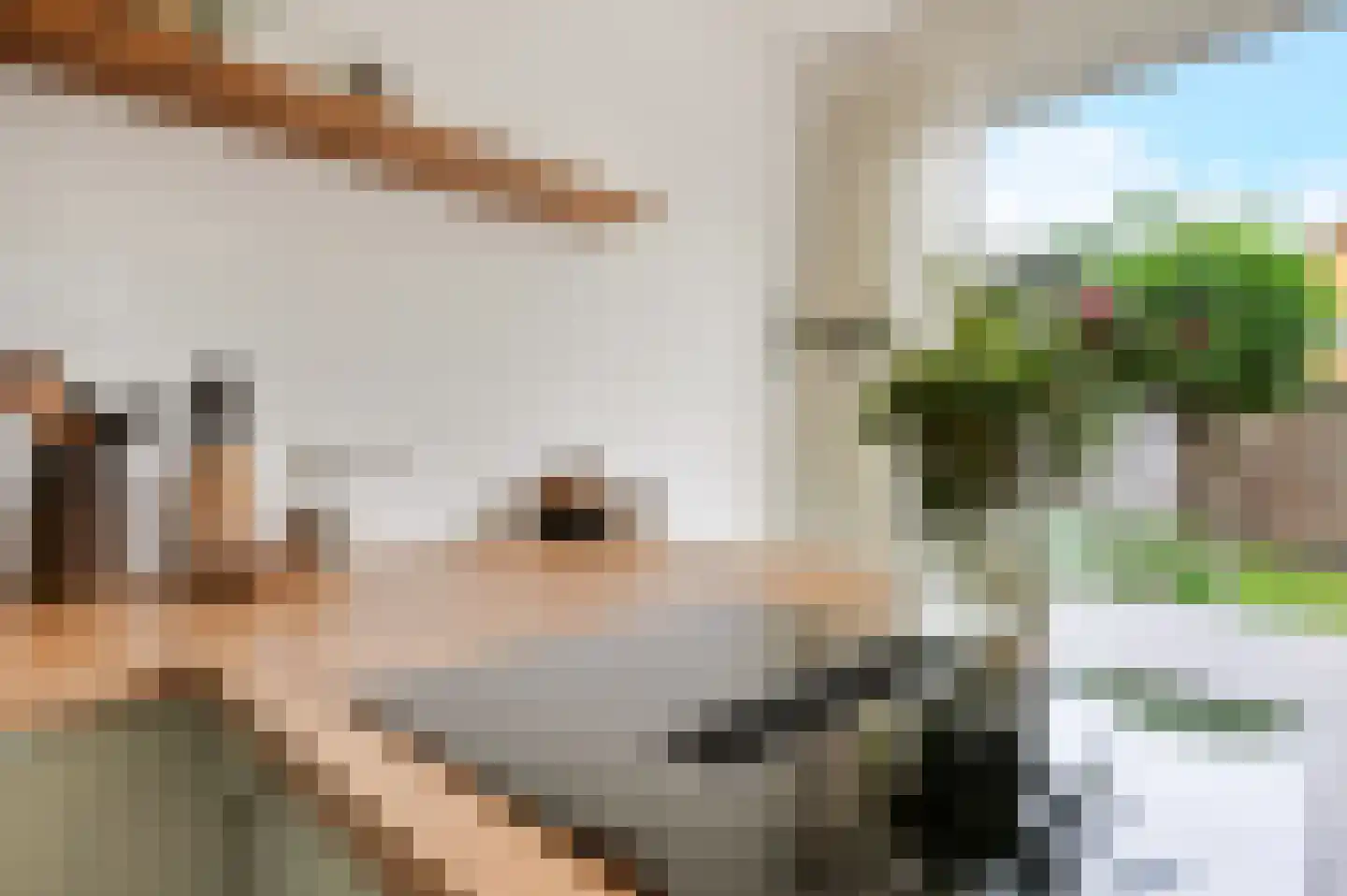 Professor Asserlaan 31 Voorschoten thumbnail 14