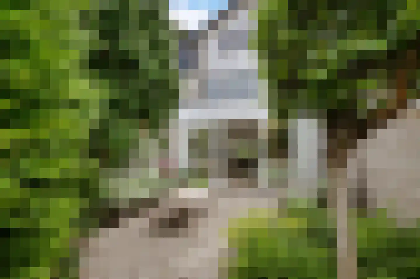 Professor Asserlaan 31 Voorschoten thumbnail 31