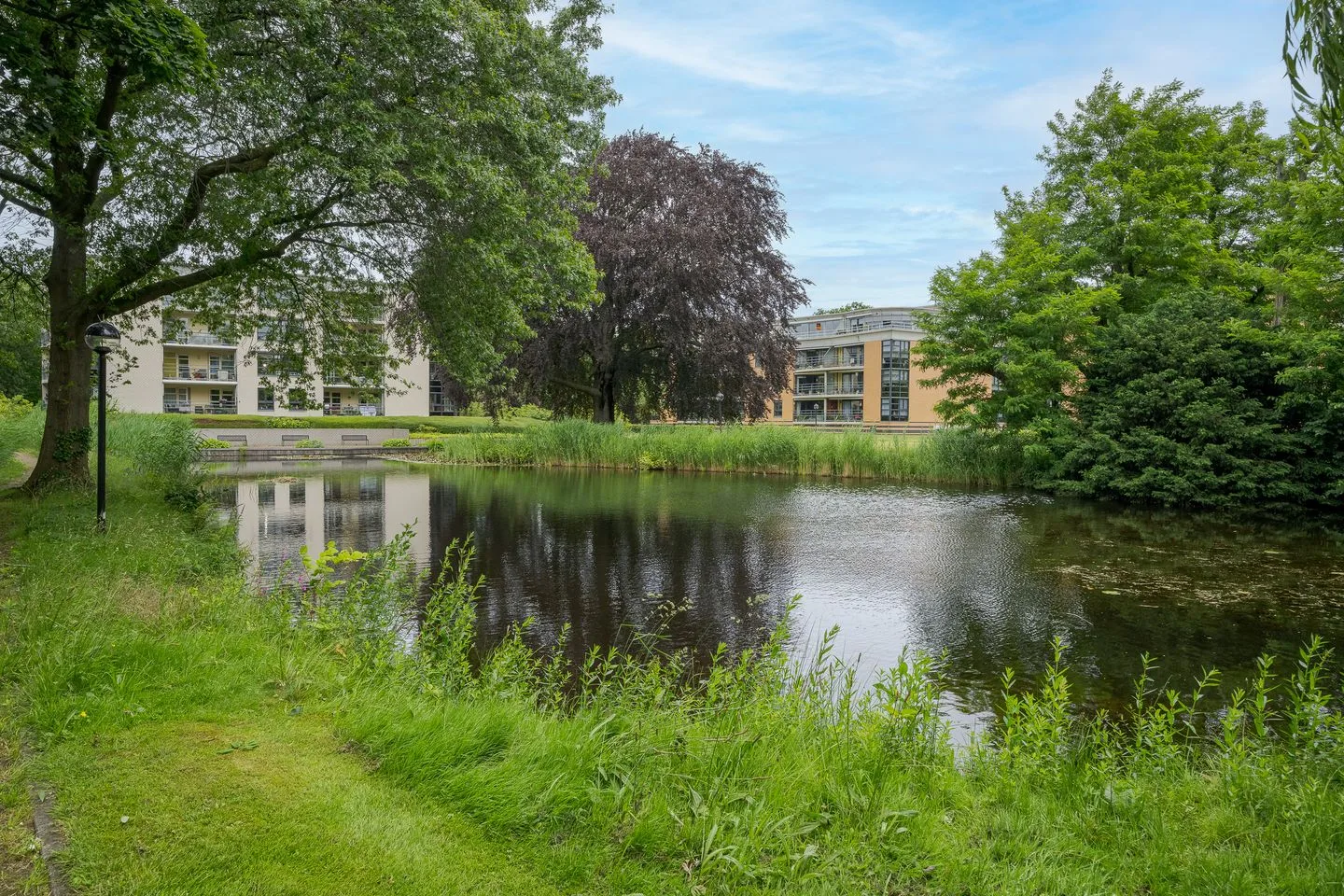 Professor Boerhaaveweg 33 Voorschoten foto 2