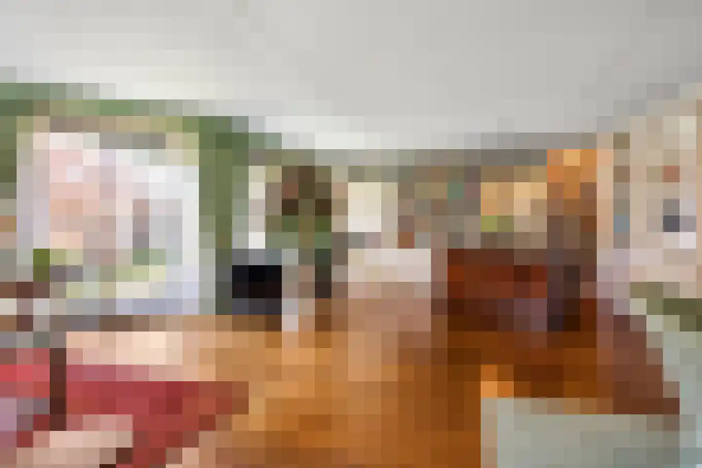Professor Boerhaaveweg 37 Voorschoten thumbnail 10