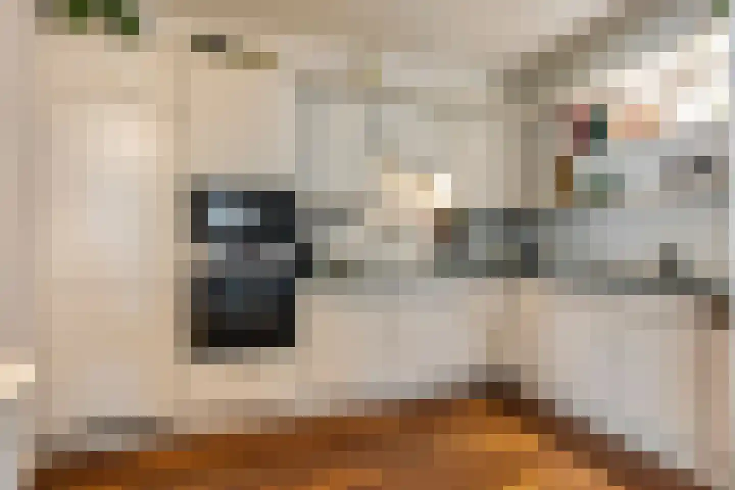 Professor Boerhaaveweg 37 Voorschoten thumbnail 18