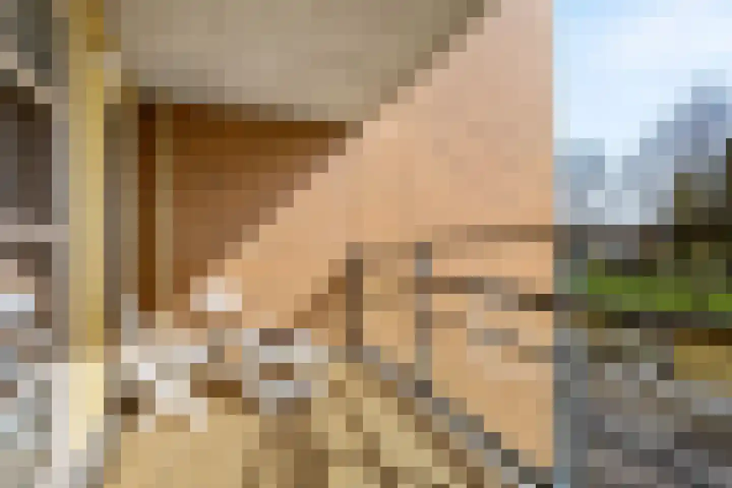 Professor Boerhaaveweg 37 Voorschoten thumbnail 26