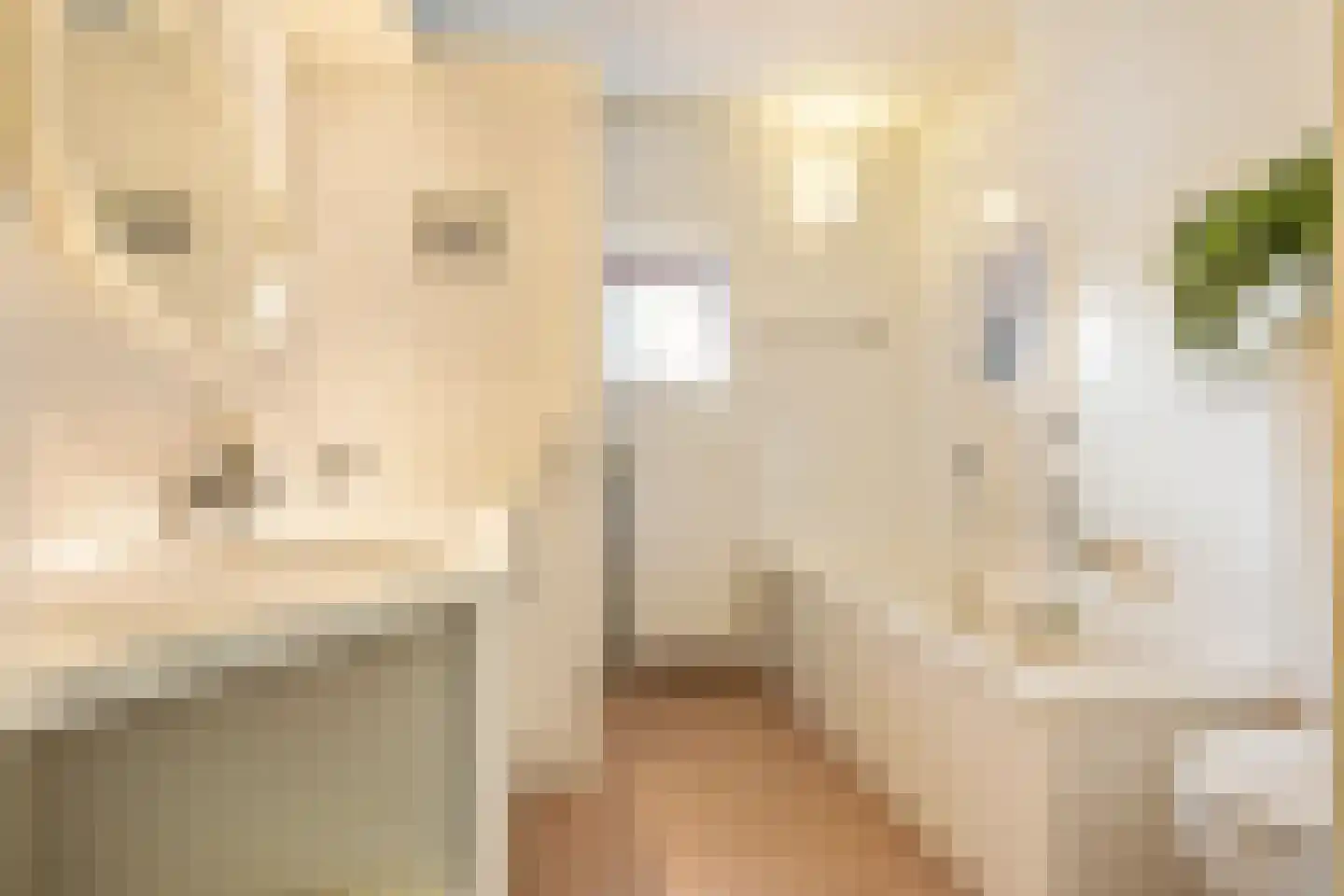Professor Boerhaaveweg 37 Voorschoten thumbnail 29