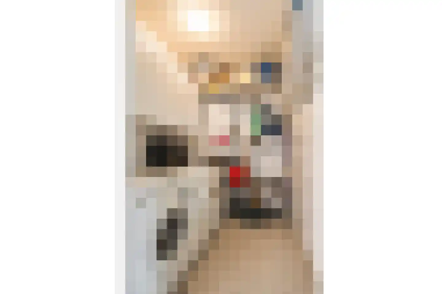 Professor Boerhaaveweg 37 Voorschoten thumbnail 31