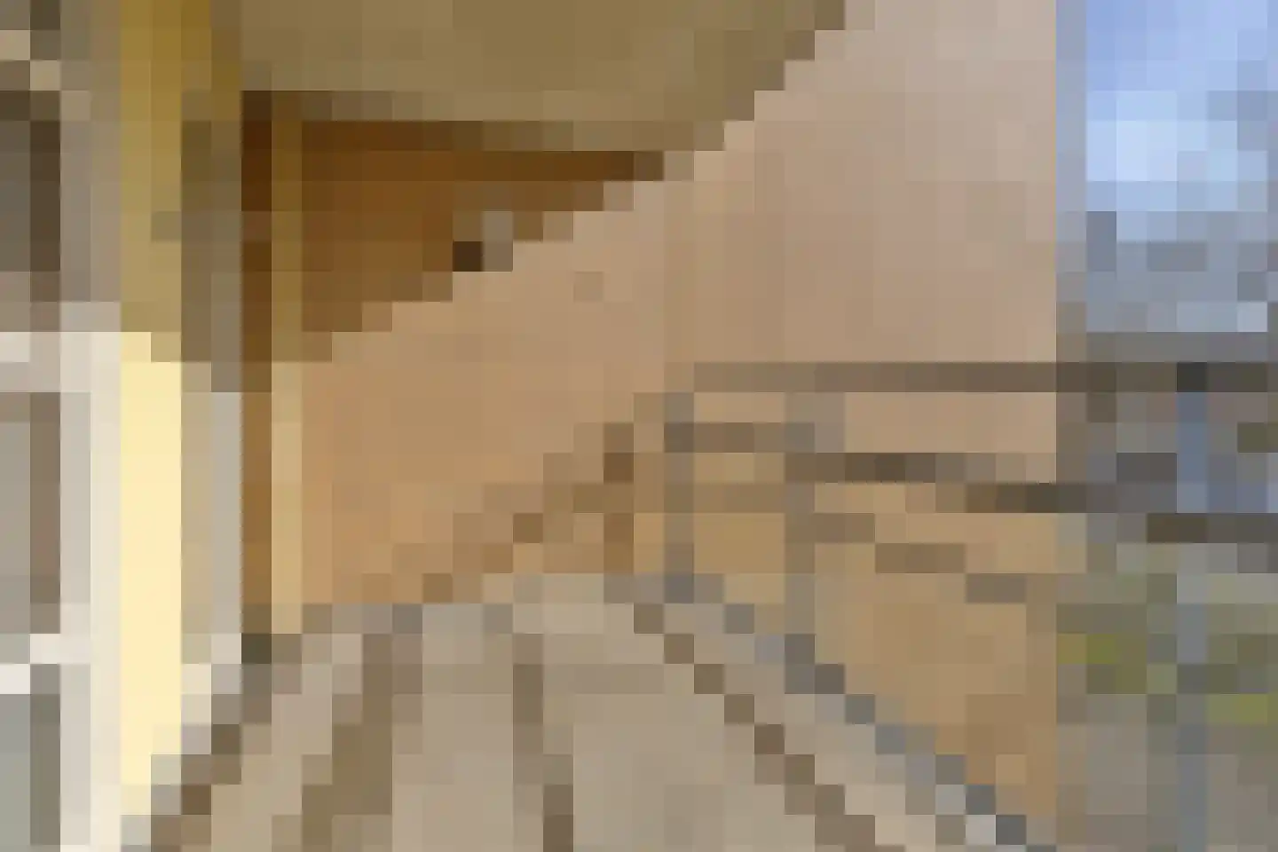 Professor Boerhaaveweg 5 Voorschoten thumbnail 26