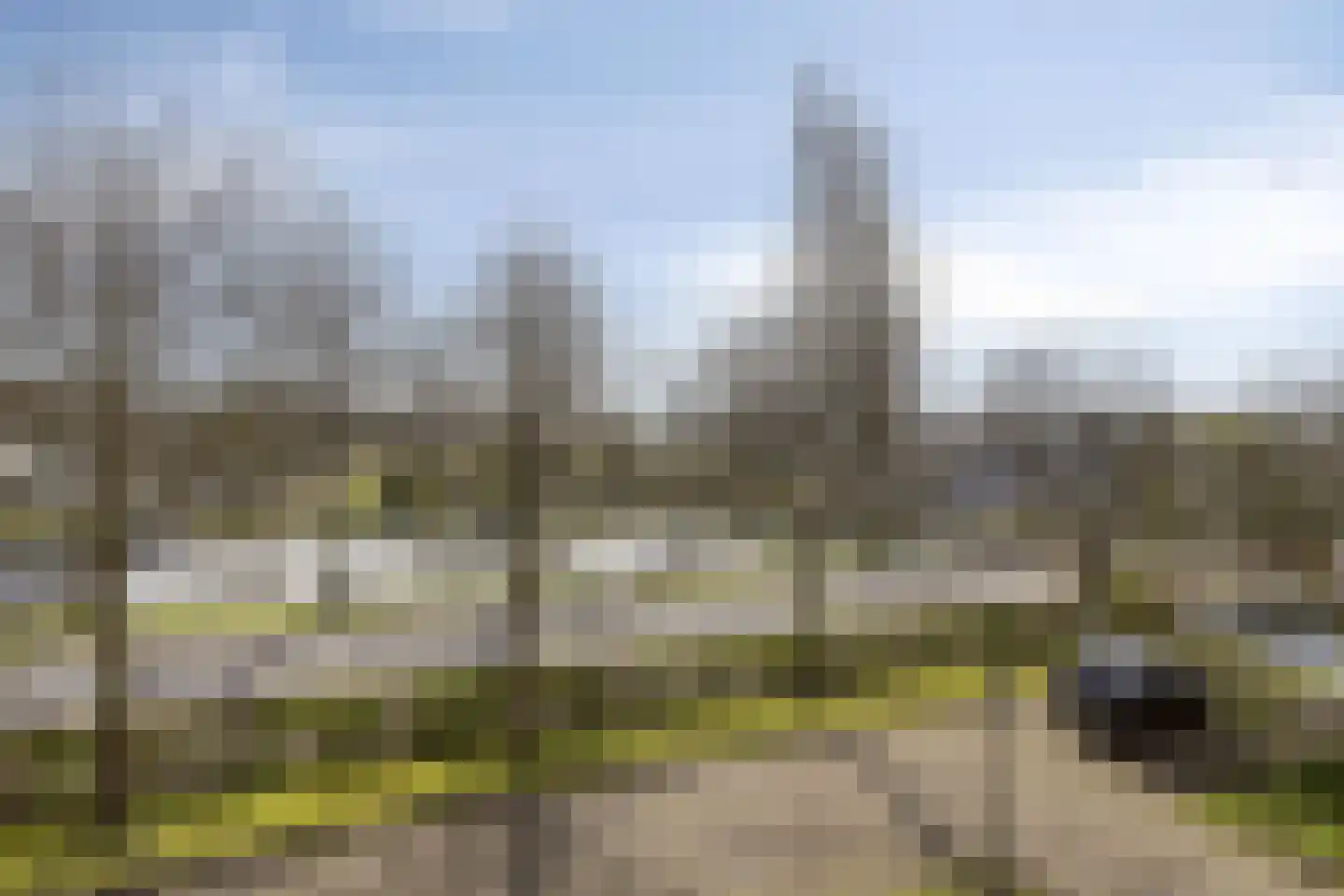 Professor Boerhaaveweg 5 Voorschoten thumbnail 30
