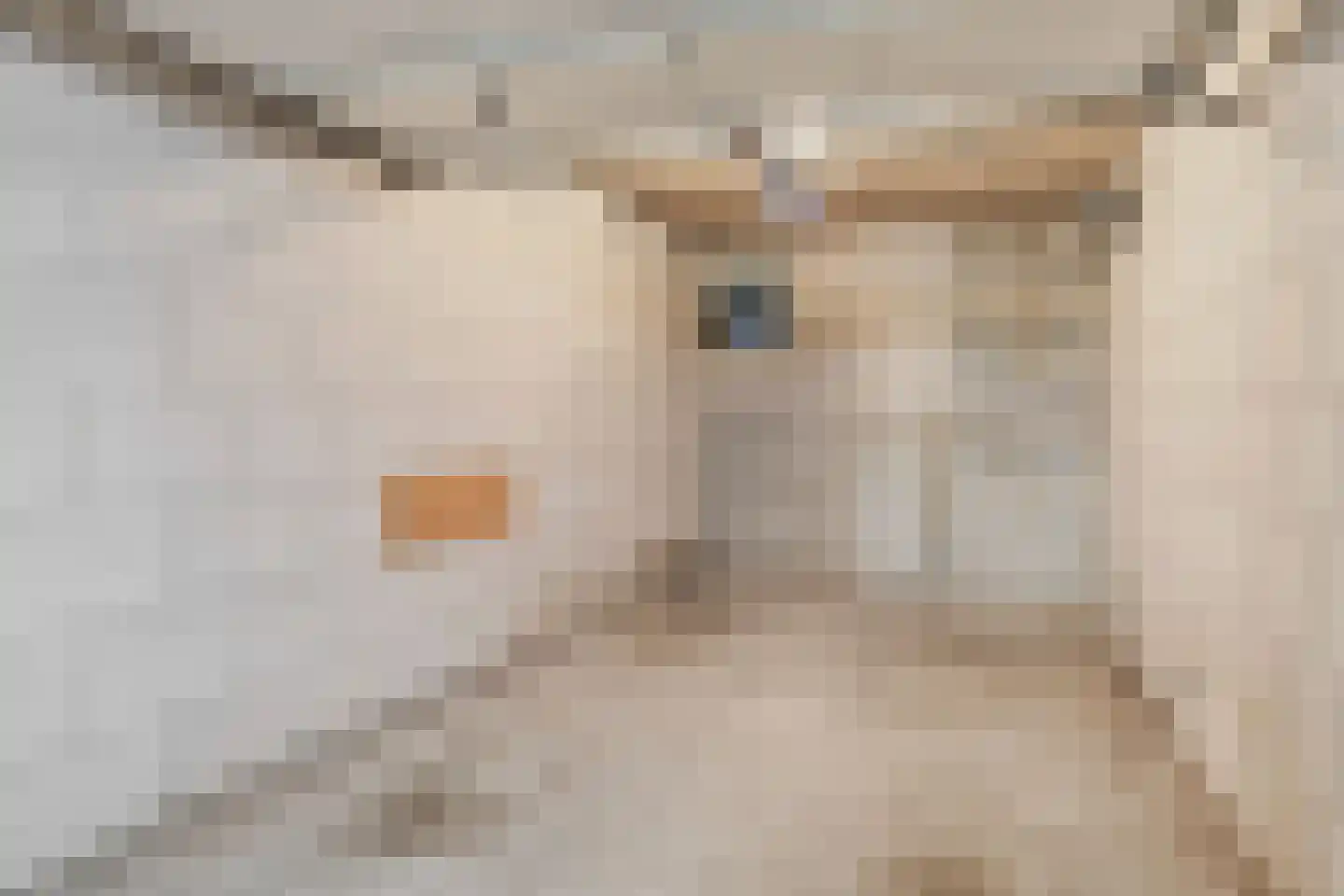 Professor Boerhaaveweg 5 Voorschoten thumbnail 32