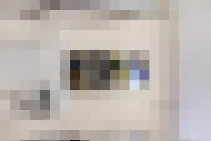 Professor Boerhaaveweg 65 Voorschoten thumbnail 16