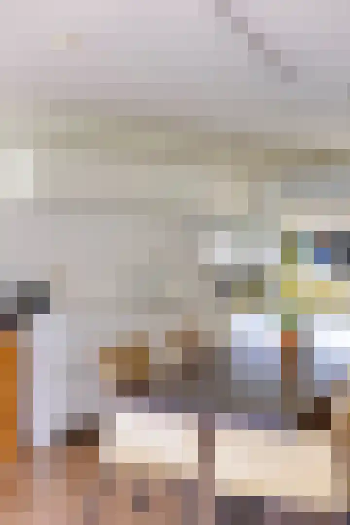 Professor Boerhaaveweg 65 Voorschoten thumbnail 20