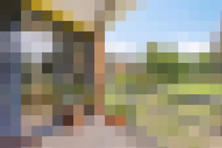 Professor Boerhaaveweg 65 Voorschoten thumbnail 22