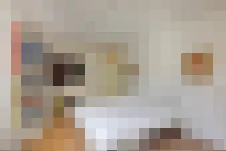 Professor Boerhaaveweg 65 Voorschoten thumbnail 24