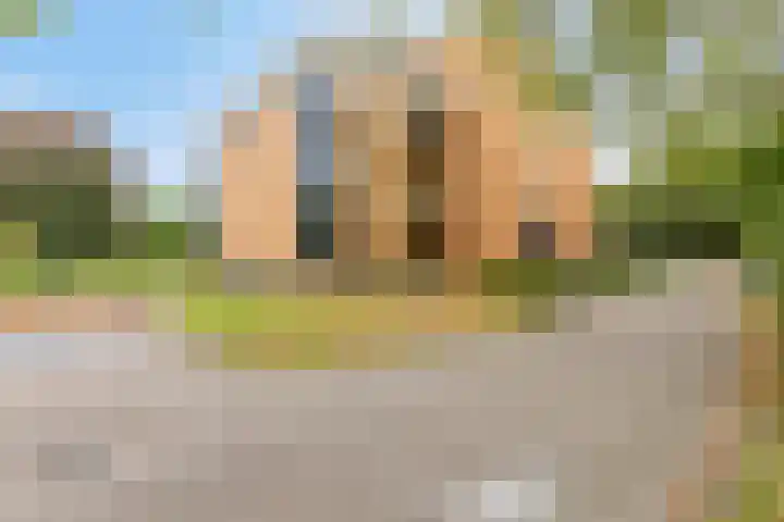 Professor Boerhaaveweg 65 Voorschoten thumbnail 31