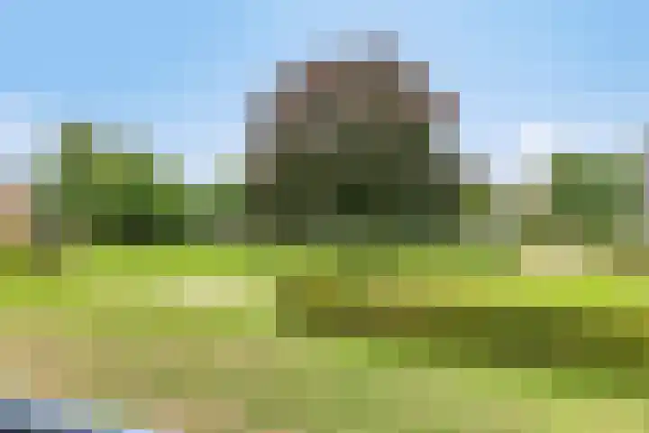 Professor Boerhaaveweg 65 Voorschoten thumbnail 33