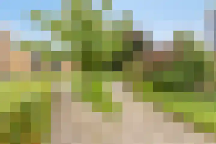 Professor Boerhaaveweg 65 Voorschoten thumbnail 36
