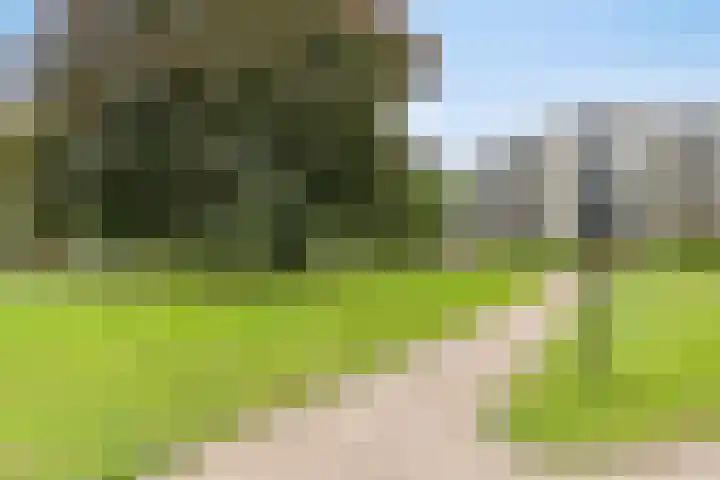 Professor Boerhaaveweg 65 Voorschoten thumbnail 37
