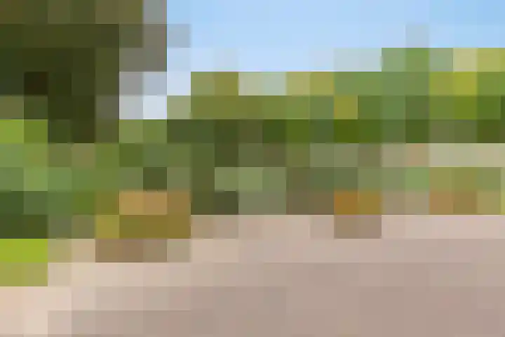 Professor Boerhaaveweg 65 Voorschoten thumbnail 38