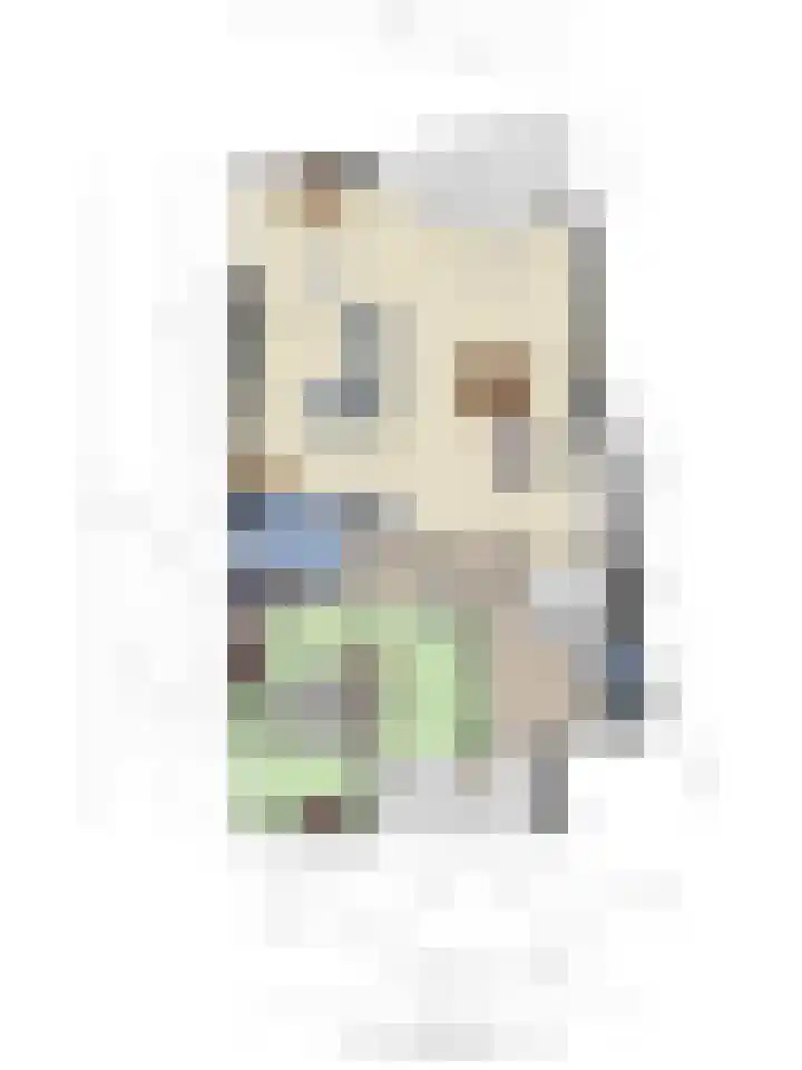 Professor Boerhaaveweg 65 Voorschoten thumbnail 39