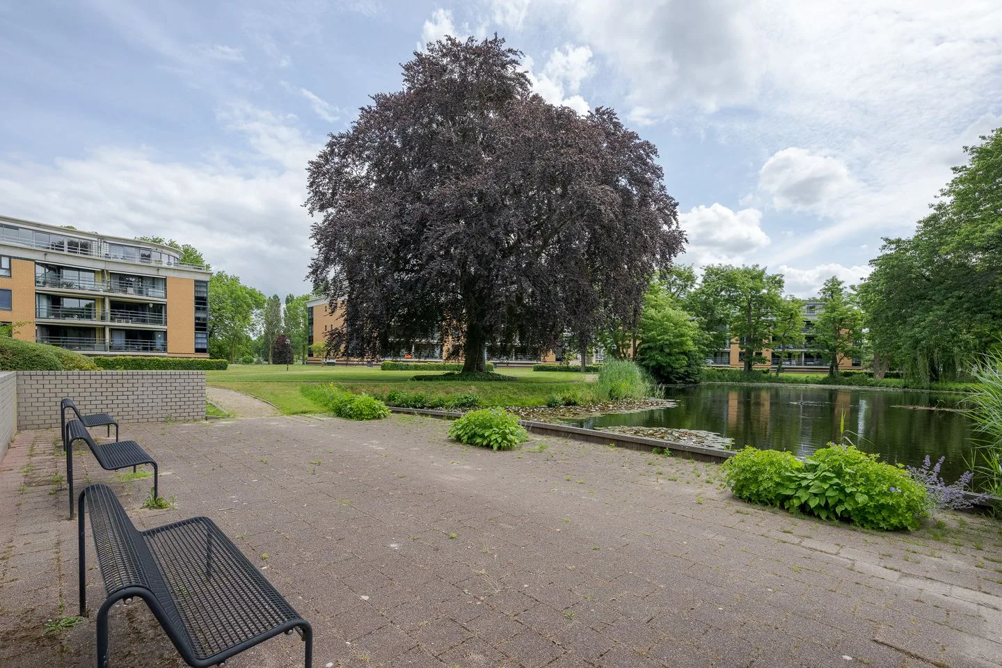 Professor Boerhaaveweg 79 Voorschoten thumbnail 38