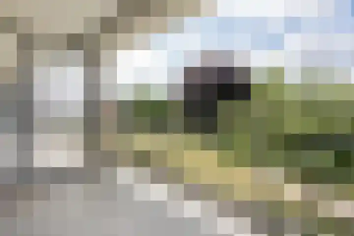 Professor Boerhaaveweg 87 Voorschoten thumbnail 10