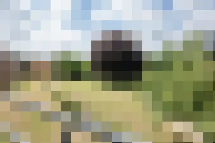 Professor Boerhaaveweg 87 Voorschoten thumbnail 11