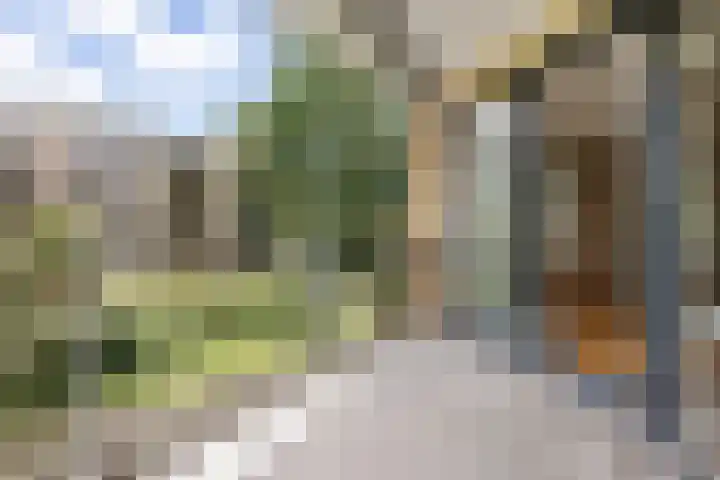 Professor Boerhaaveweg 87 Voorschoten thumbnail 12