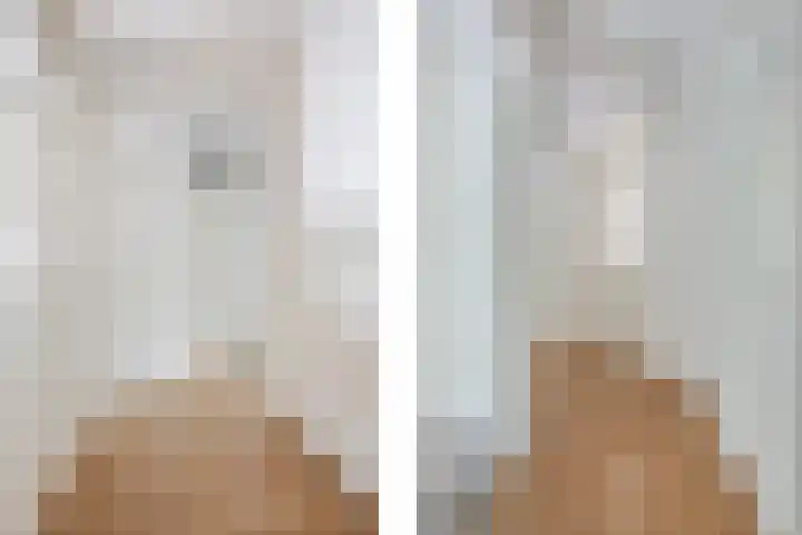 Professor Boerhaaveweg 87 Voorschoten thumbnail 13