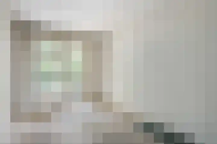 Professor Boerhaaveweg 87 Voorschoten thumbnail 16